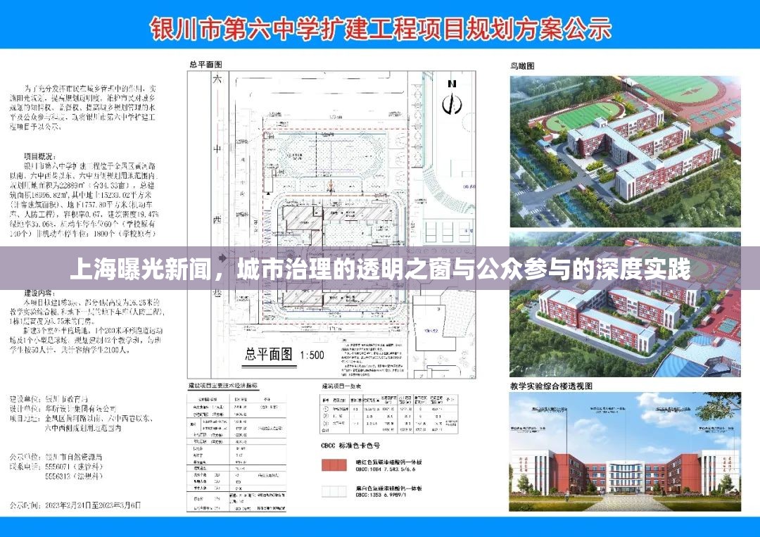 上海曝光新聞，城市治理的透明之窗與公眾參與的深度實踐