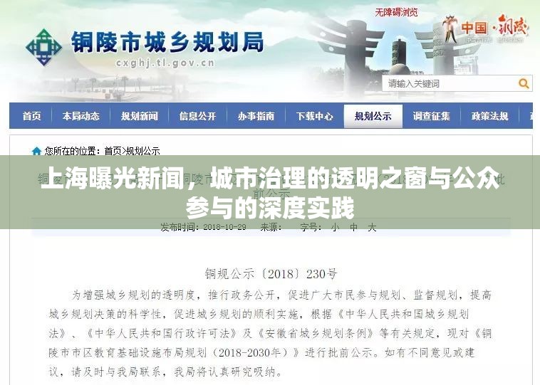 上海曝光新聞，城市治理的透明之窗與公眾參與的深度實踐