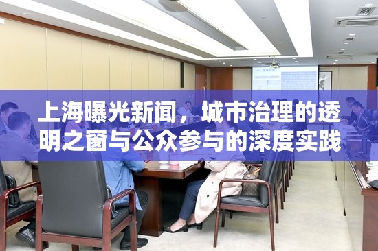 上海曝光新聞，城市治理的透明之窗與公眾參與的深度實踐