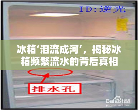 冰箱‘淚流成河’，揭秘冰箱頻繁流水的背后真相