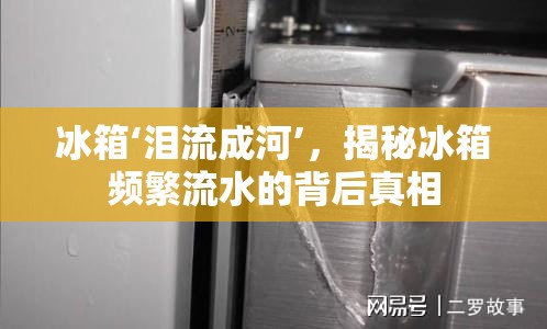 冰箱‘淚流成河’，揭秘冰箱頻繁流水的背后真相
