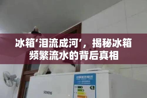 冰箱‘淚流成河’，揭秘冰箱頻繁流水的背后真相