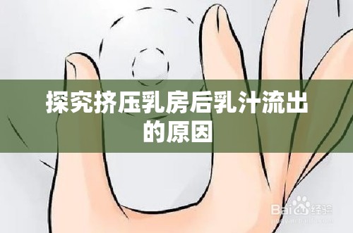 探究擠壓乳房后乳汁流出的原因