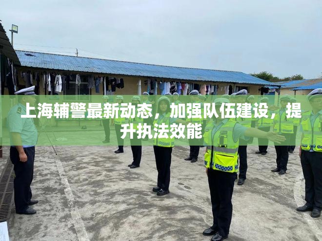 上海輔警最新動態(tài)，加強隊伍建設，提升執(zhí)法效能