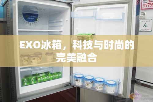 EXO冰箱，科技與時尚的完美融合