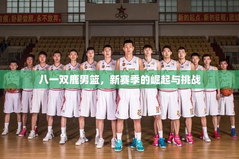 八一雙鹿男籃，新賽季的崛起與挑戰(zhàn)