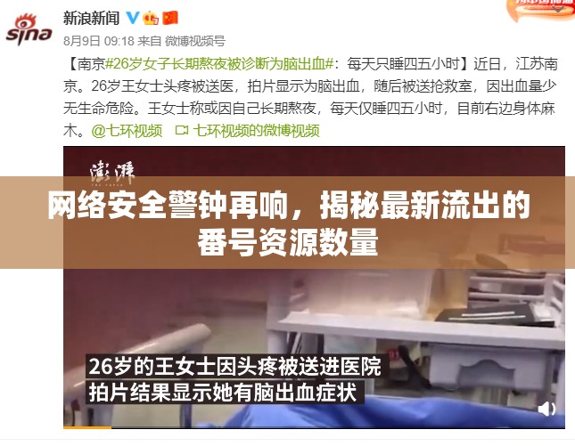 網(wǎng)絡(luò)安全警鐘再響，揭秘最新流出的番號(hào)資源數(shù)量