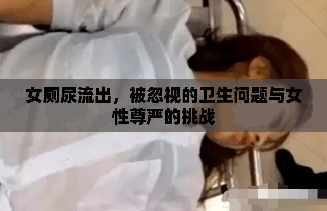 女廁尿流出，被忽視的衛(wèi)生問題與女性尊嚴(yán)的挑戰(zhàn)
