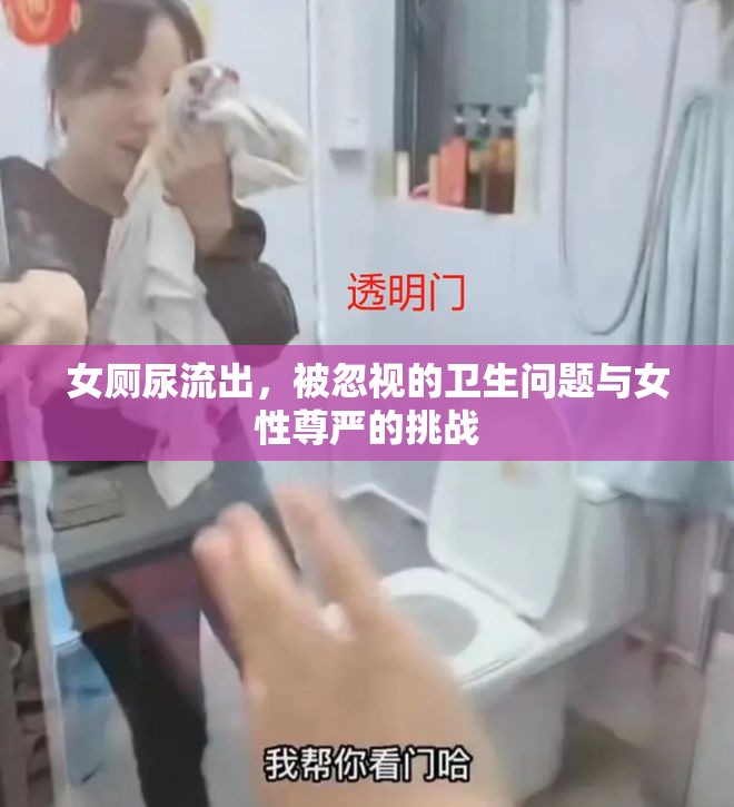 女廁尿流出，被忽視的衛(wèi)生問題與女性尊嚴(yán)的挑戰(zhàn)