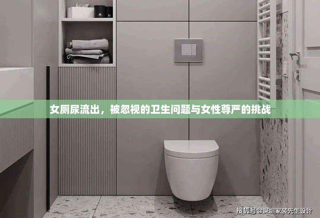 女廁尿流出，被忽視的衛(wèi)生問題與女性尊嚴(yán)的挑戰(zhàn)