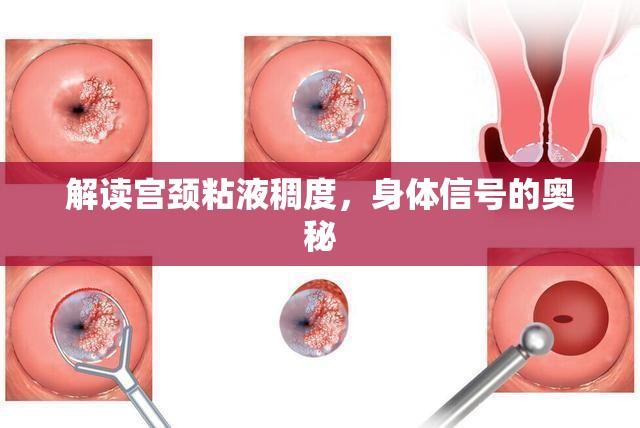 解讀宮頸粘液稠度，身體信號的奧秘