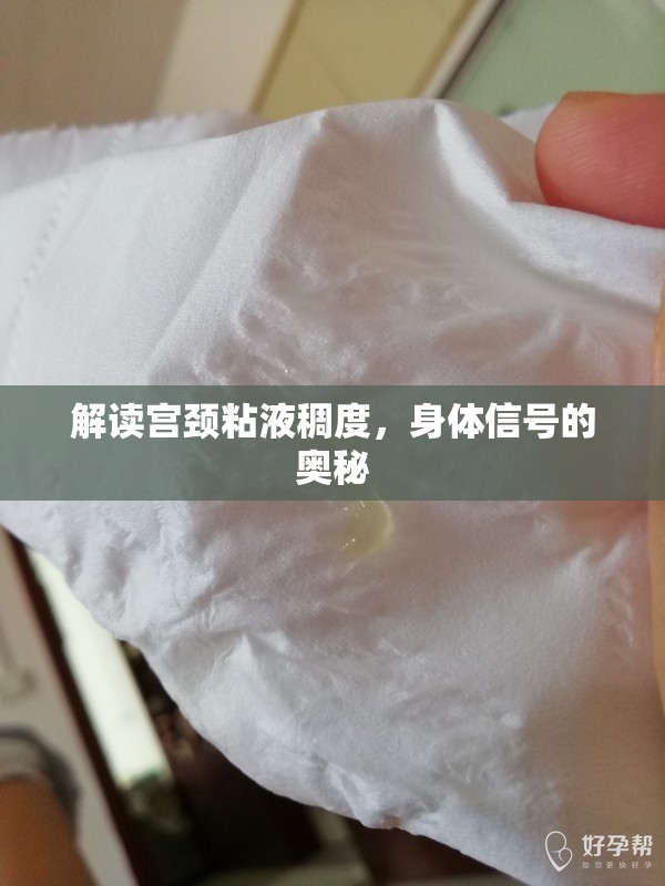 解讀宮頸粘液稠度，身體信號的奧秘