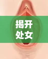 揭開處女血流出的神秘面紗，科學(xué)解讀與理性認(rèn)知