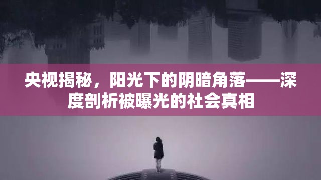 央視揭秘，陽光下的陰暗角落——深度剖析被曝光的社會(huì)真相