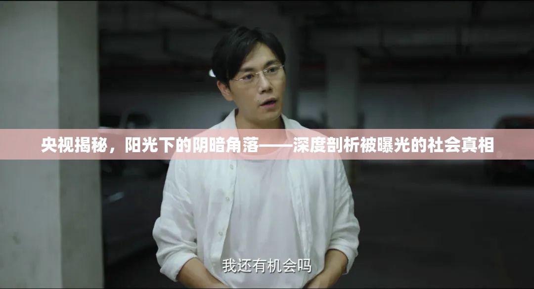 央視揭秘，陽光下的陰暗角落——深度剖析被曝光的社會(huì)真相