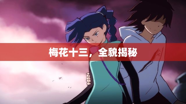 梅花十三，全貌揭秘