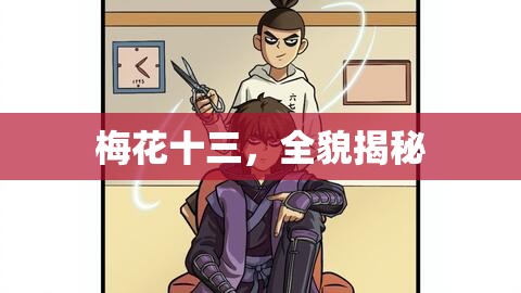 梅花十三，全貌揭秘