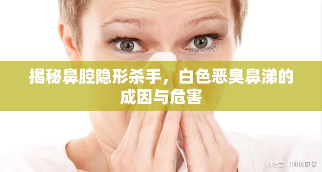 揭秘鼻腔隱形殺手，白色惡臭鼻涕的成因與危害