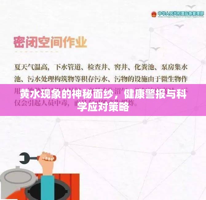 黃水現(xiàn)象的神秘面紗，健康警報(bào)與科學(xué)應(yīng)對(duì)策略