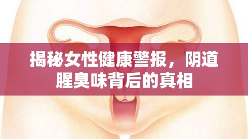 揭秘女性健康警報，陰道腥臭味背后的真相