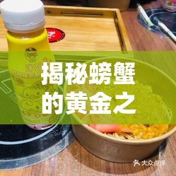 揭秘螃蟹的黃金之謎，蟹黃誘人背后的科學(xué)