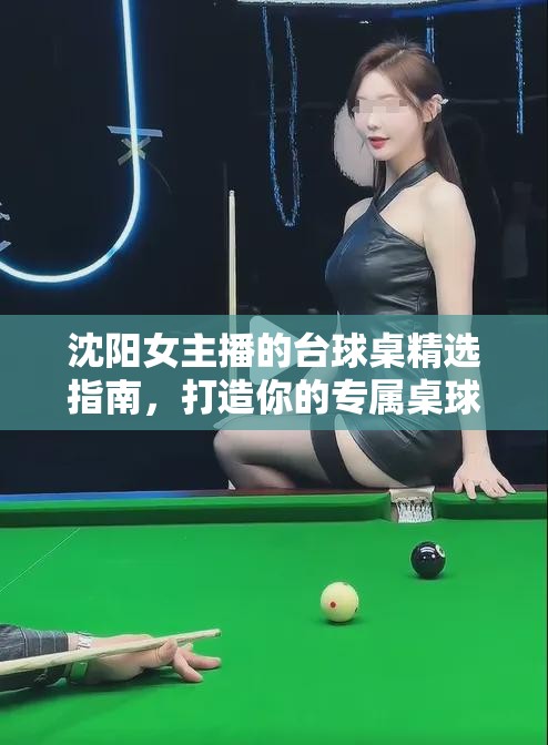 沈陽女主播的臺(tái)球桌精選指南，打造你的專屬桌球樂園