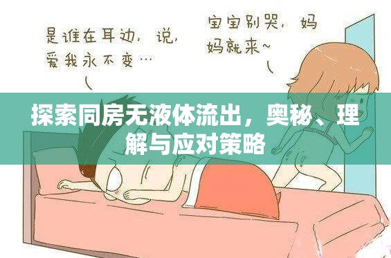 探索同房無(wú)液體流出，奧秘、理解與應(yīng)對(duì)策略