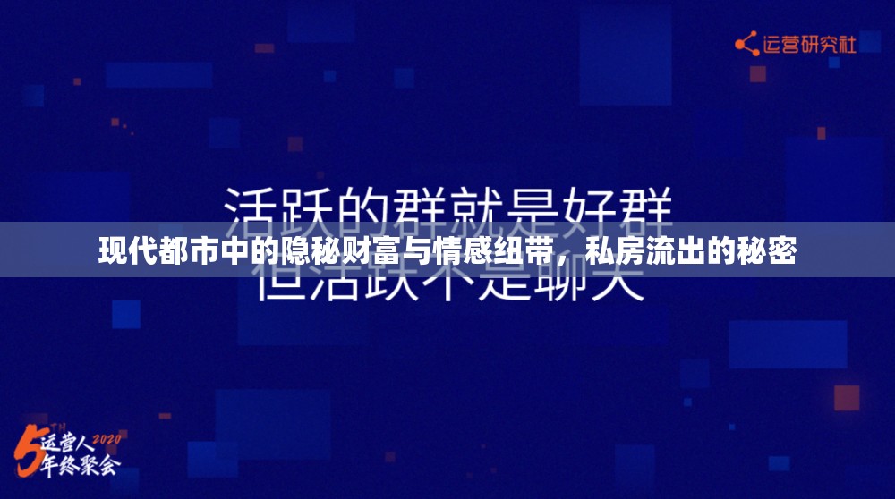 現(xiàn)代都市中的隱秘財富與情感紐帶，私房流出的秘密