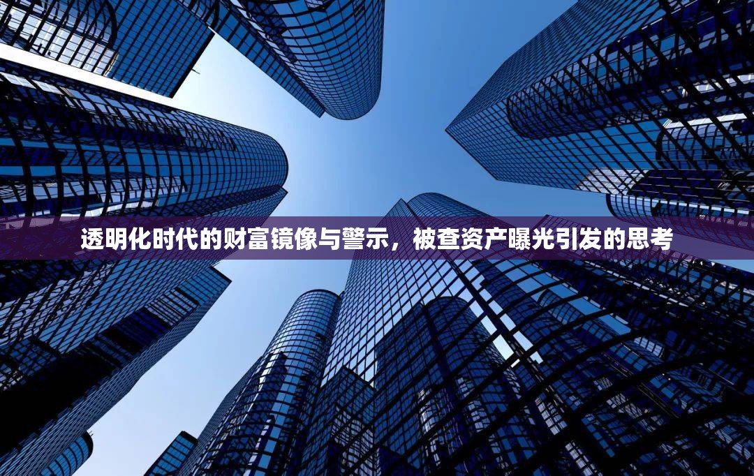 透明化時代的財富鏡像與警示，被查資產(chǎn)曝光引發(fā)的思考