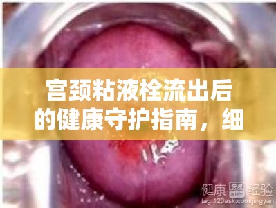 宮頸粘液栓流出后的健康守護(hù)指南，細(xì)節(jié)決定健康