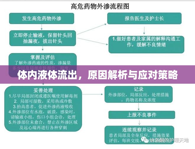 體內(nèi)液體流出，原因解析與應(yīng)對(duì)策略