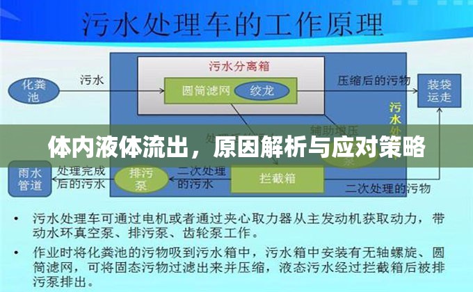 體內(nèi)液體流出，原因解析與應(yīng)對(duì)策略
