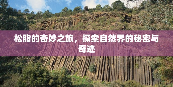 松脂的奇妙之旅，探索自然界的秘密與奇跡