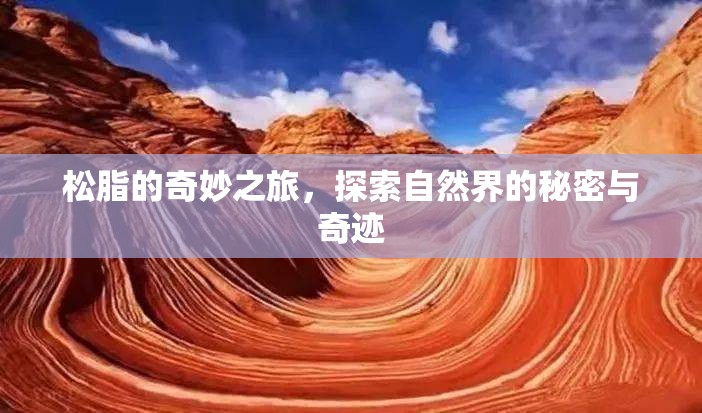 松脂的奇妙之旅，探索自然界的秘密與奇跡
