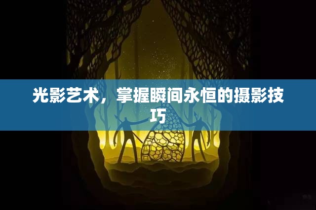 光影藝術(shù)，掌握瞬間永恒的攝影技巧