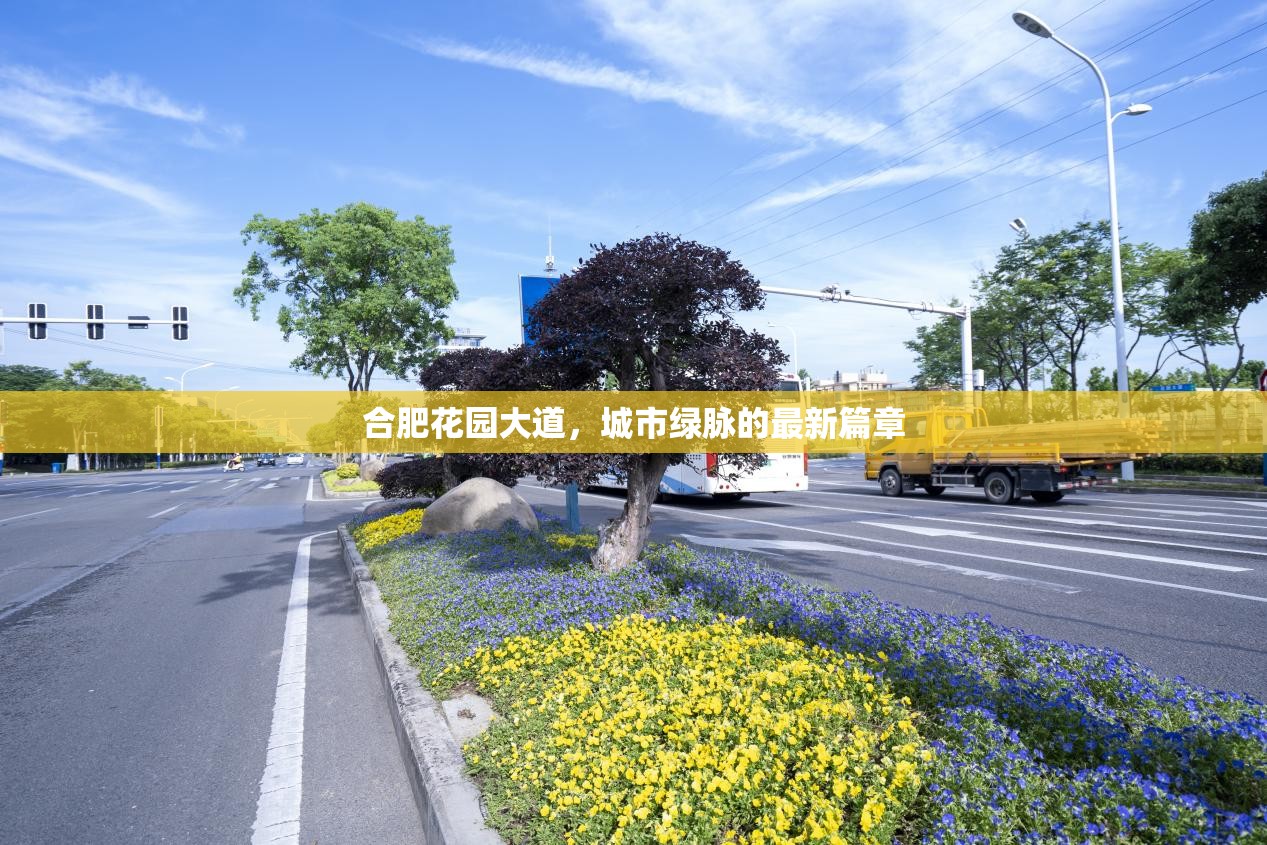 合肥花園大道，城市綠脈的最新篇章