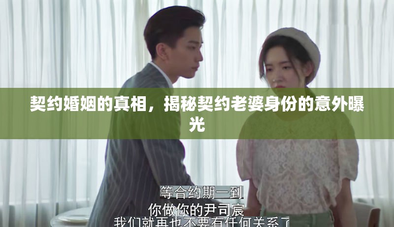 契約婚姻的真相，揭秘契約老婆身份的意外曝光