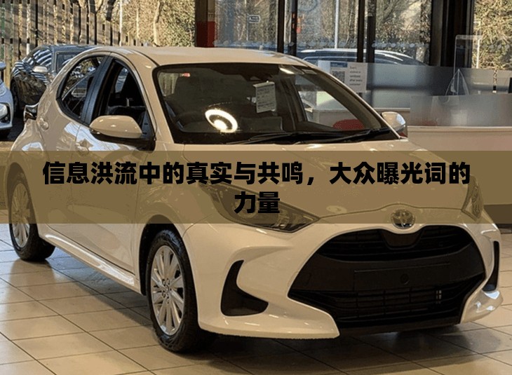 信息洪流中的真實與共鳴，大眾曝光詞的力量