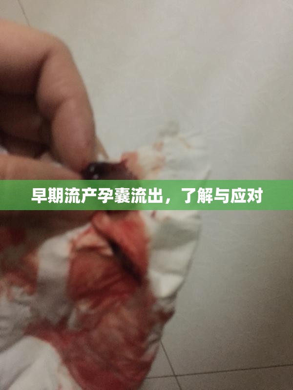 早期流產(chǎn)孕囊流出，了解與應(yīng)對