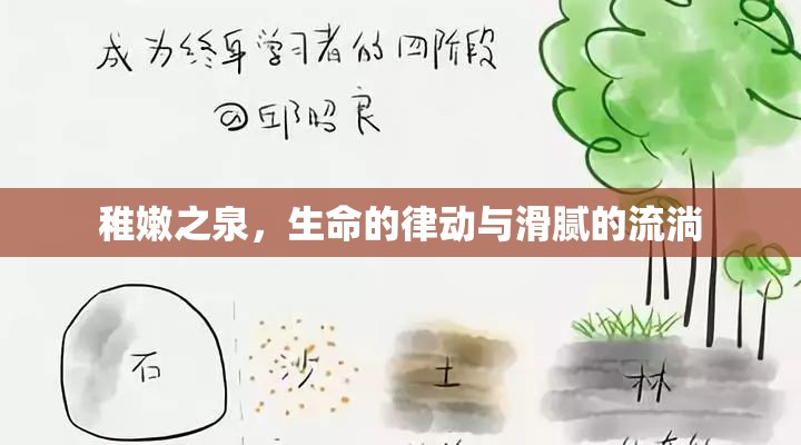 稚嫩之泉，生命的律動(dòng)與滑膩的流淌