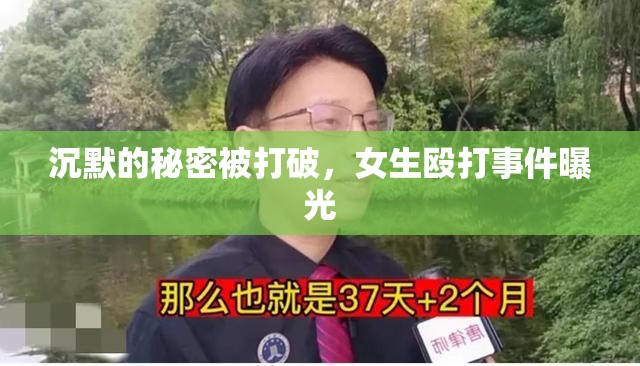 沉默的秘密被打破，女生毆打事件曝光