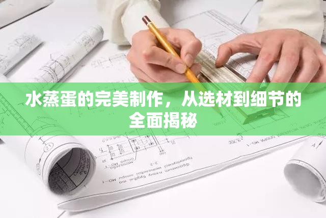 水蒸蛋的完美制作，從選材到細(xì)節(jié)的全面揭秘