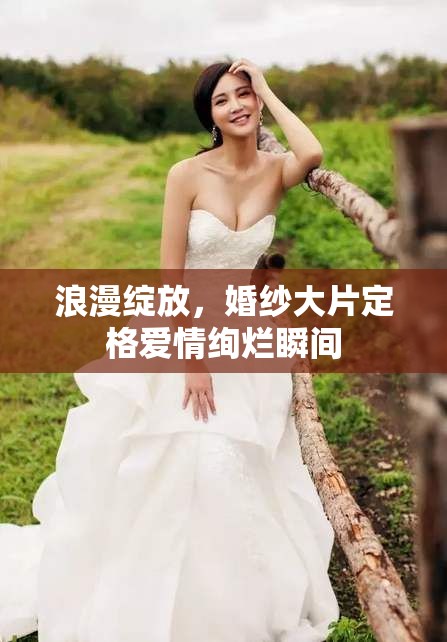 浪漫綻放，婚紗大片定格愛(ài)情絢爛瞬間