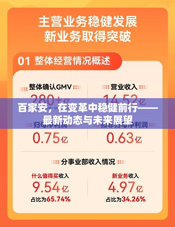 百家安，在變革中穩(wěn)健前行——最新動(dòng)態(tài)與未來展望