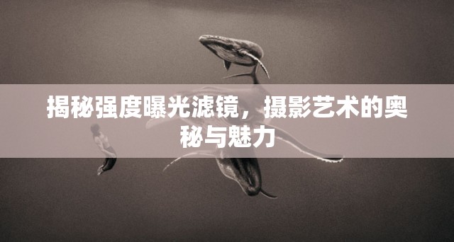 揭秘強(qiáng)度曝光濾鏡，攝影藝術(shù)的奧秘與魅力