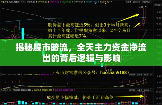 揭秘股市暗流，全天主力資金凈流出的背后邏輯與影響