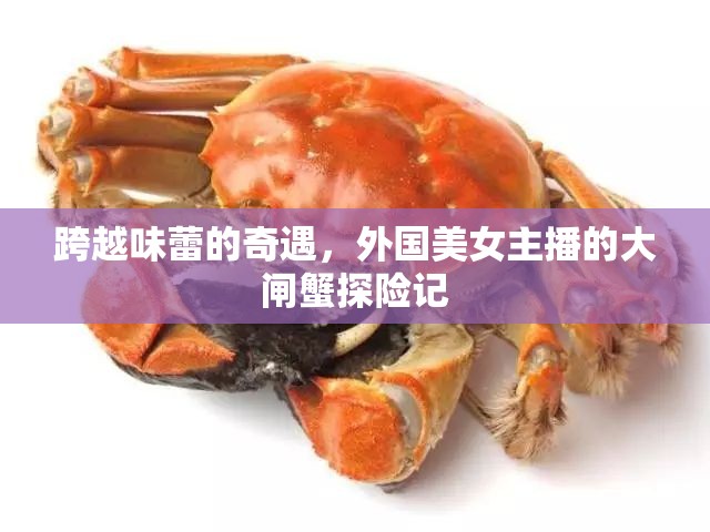 跨越味蕾的奇遇，外國美女主播的大閘蟹探險記