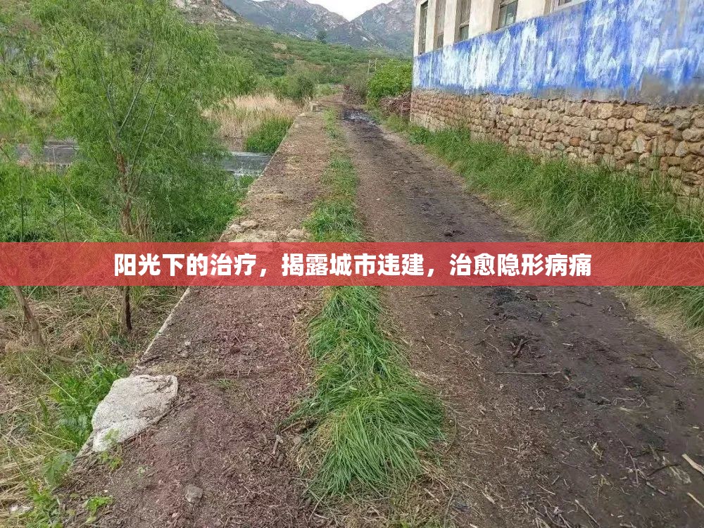 陽光下的治療，揭露城市違建，治愈隱形病痛
