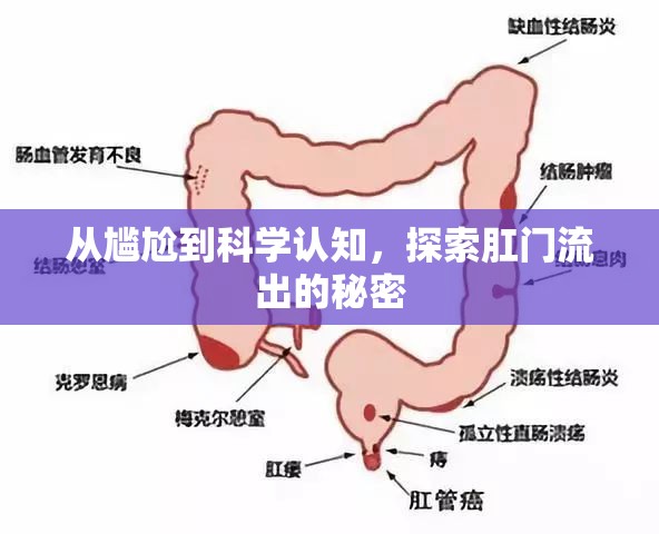 從尷尬到科學(xué)認(rèn)知，探索肛門流出的秘密