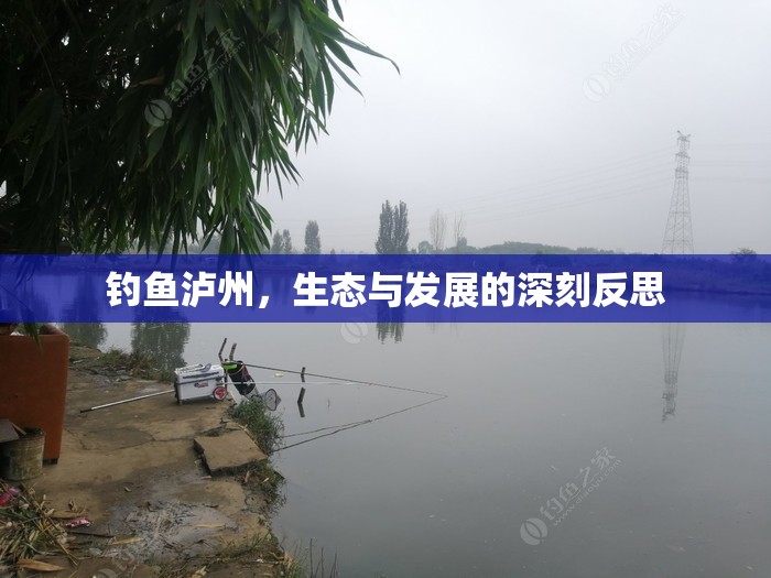 釣魚瀘州，生態(tài)與發(fā)展的深刻反思